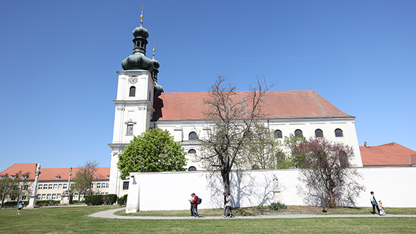 Basilika Fauenkirchen