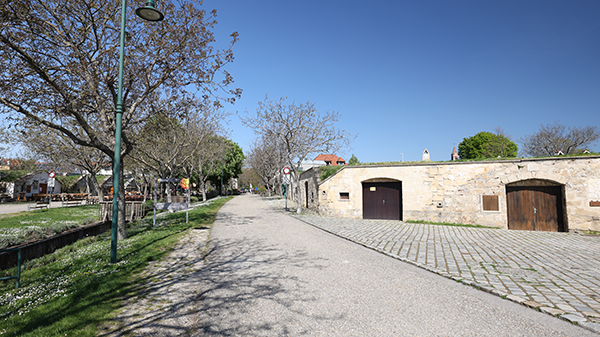 Kellergasse Purbach