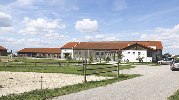 Reitsportzentrum Simonhof Illmitz