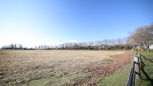 Storchenwiese Rust