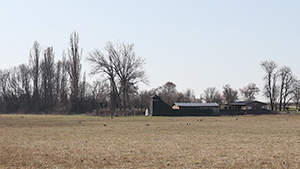 Vogelbeobachtungsturm Rust
