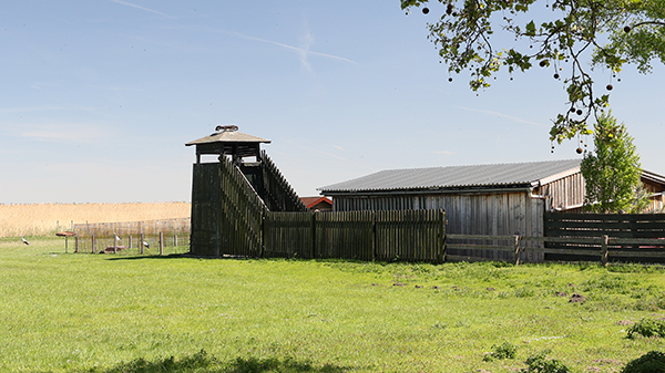 Vogelbeobachtungsturm Rust