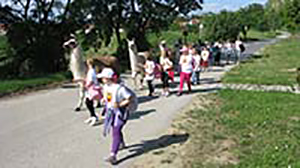 Wandern mit Lamas