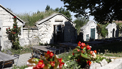 Vinoschank Humer Breitenbrunn