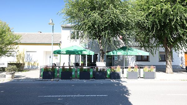 Wirtshaus Lokalaugenschein Podersdorf