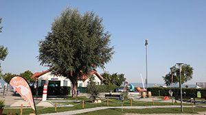 Minigolf beim Seebad in Podersdorf