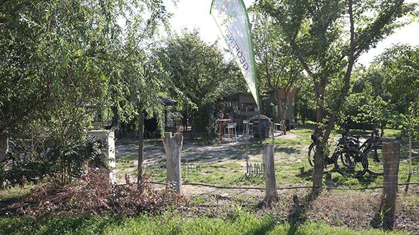 Imbiss in Podersdorf